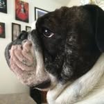Judy Schroeder - @ubuimme2018 - Instagram