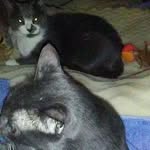 Judy Schroeder - @judy.schroeder.3557 - Instagram