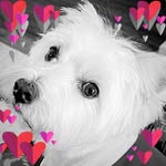 Judy Schroeder - @judy.schroeder.52 - Instagram