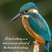 Judy Schroeder - Facebook