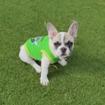 Judy Small - @jude.small - Instagram