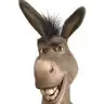 Jude.sutherland12 - @_donkey__ - TikTok