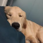 Judy Sutherland - @retiredrn123 - Instagram