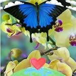 Judy Sutherland - @judy.sutherland.927 - Instagram