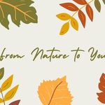 Judy Sutton - @from_nature_to._you - Instagram