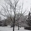 Jude Bailey - @jude.bailey5 - TikTok