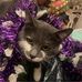 Judi Bailey - Facebook