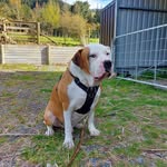 Judi Bailey - @judi9828 - Instagram