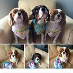 Judy Brady Cleveland - @judybradycleveland - Instagram