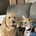 Judith Gallagher - Facebook