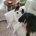 Judi Harper - Facebook