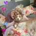 Judy Harper - Facebook