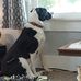 Judy Harper - Facebook