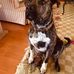 Judi Lambert - Facebook