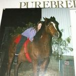 Judi Lambert-Robinson - @judilambertrobinson - Instagram