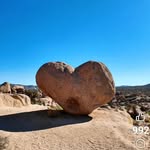 Judy Mackey - @jmackey63 - Instagram