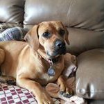 Judi Mann - @mannjudi - Instagram
