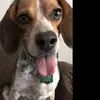 judimarshall438 - @judimarshall438 - TikTok