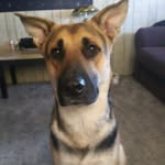 judi mclaughlin johnson - @ju.di3604 - Instagram