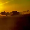 Jude Michael - @judefarmingmichael2424 - TikTok