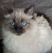 Judi Schmidt - Facebook