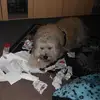 judithschmidt09 - @judithschmidt09 - TikTok