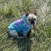 Judy Simpson - Facebook