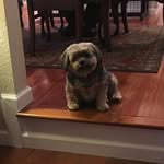 Judy Stanton - @judy.stanton.7374 - Instagram