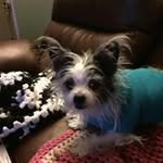 Judy Stanton - @stanton_judy - Instagram