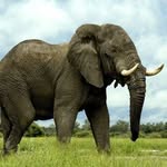 Judi Stone - @judistone72 - Instagram