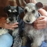 Judi Waller Driver - @judiwallerdriver - Instagram