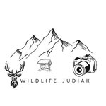 Canon eos 600 D + Tamron 150-600 - @wildlife_judiak - Instagram