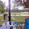 Judi Wilder - @judi.wilder - TikTok