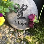 Judi Anderson-Wright - @judigreatdog - Instagram