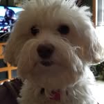 Judie Smith - @lizawily50 - Instagram