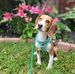 Judie Watson - Facebook