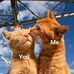 Judith abad lloclla - Facebook