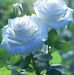 Judith Abad Vicente - Facebook