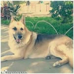 Judith abarca - @ju_14a - Instagram