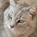 Judith Abel - Facebook
