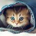 Judith Aiken - Facebook