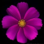 Judith Akers - Facebook