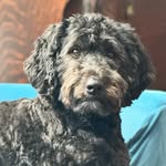 Judith Amesbury - @judithamesbury - Instagram