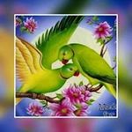 Antoine Judith - @antoine.judith.7 - Instagram