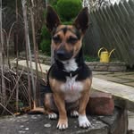 Judith Shore - @judith_a_shore - Instagram