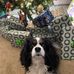 Judith Ashton - Facebook