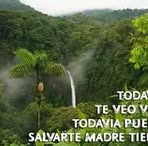 Judith Baca - Facebook
