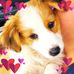 Judith Bach - Facebook