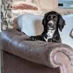 Judith Backlog - @judithbacklog - Instagram