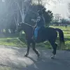 judithbellinger3 - @judithbellinger3 - TikTok